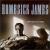 Goin' Back in the Times von Homesick James Williamson