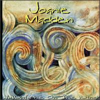 Whistle on the Wind von Joanie Madden