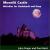 Moonlit Castle von John Singer