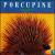 Porcupine von Porcupine