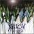 Delusions of Grandeur: A Gathering of Heretics von Willow Wisp