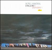 Digor! von Soïg Sibéril