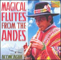 Magical Flutes From the Andes von Aconcagua