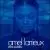 Infinite Possibilities von Amel Larrieux