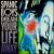 Dream Your Life Away von Spanic Boys