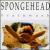 Brainwash von Spongehead