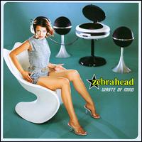 Waste of Mind von Zebrahead