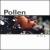 Chip von Pollen