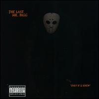 Only If U Knew von Mr. Bigg