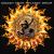 Supralingua von Mickey Hart