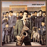 Resolving Contradictions von Andy Mackay