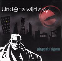 Under a Wild Sky von Phoenix Down