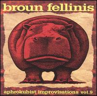Aphrokubist Improvisations, Vol. 9 von The Broun Fellinis