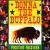 Positive Friction von Donna the Buffalo