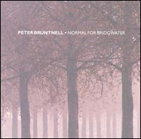 Normal For Bridgwater von The Peter Bruntnell Combination