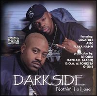 Nothing to Lose von Darkside
