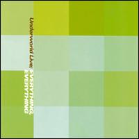 Everything, Everything von Underworld