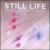 Still Life von Northern Picture Library