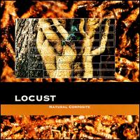 Natural Composite von Locust