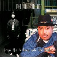 From the Darkness into the Light von Mellow Man Ace