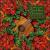 Hawaiian Slack Key Christmas von Various Artists