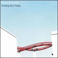 Growing Up in Public von Donnacha Costello