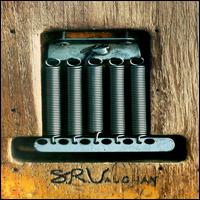 SRV von Stevie Ray Vaughan
