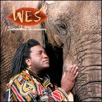 Sinami: The Memory von Wes