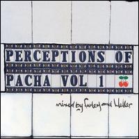 Perceptions of Pacha, Vol. 1 von Farley & Heller