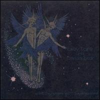 Spirit They're Gone, Spirit They've Vanished von Avey Tare and Panda Bear