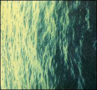 Downer Trio von Joel Phelps