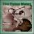 Songs, Tunes and Riddles von Flying Mules