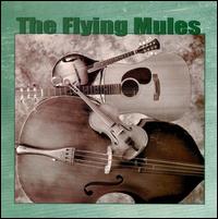 Songs, Tunes and Riddles von Flying Mules