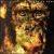 Dreaming Apes von Wolfsheim