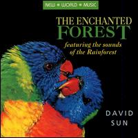 Enchanted Forest von David Sun