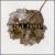 Transformation Hymns von Pale Forest