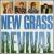 New Grass Revival von New Grass Revival