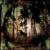 Joy of Disease von James Plotkin