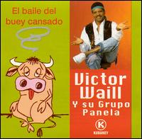 Baile del Buey Cansado von Victor Waill