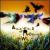 Golden Field of Radioactive Crows von The 77's