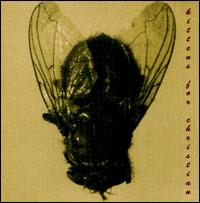 Building a Socialist Work Ethic von Kittens for Christian