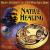 Native Healing von Dean Evenson
