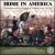 Irish in America: A Music Record of the Irish People in the United States, 1780-1980 von Dan Milner