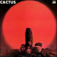 Cactus von Cactus