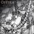 Coyote Bones von Gigi Love