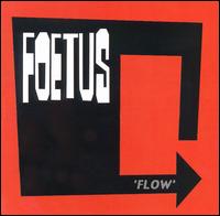 Flow von Foetus