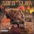 Sew'd It Up von Solo Slim