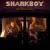 Valentine Tapes von Sharkboy