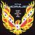 When the World's on Fire von Quadrajets