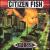 Life Size von Citizen Fish